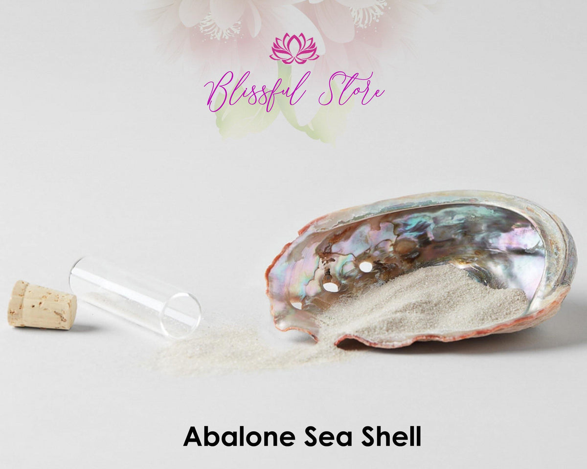 Green Abalone Sea Shell - Ace of Vase