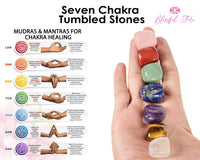 Seven Chakra Orgonite Tumbled Stones - www.blissfulagate.com