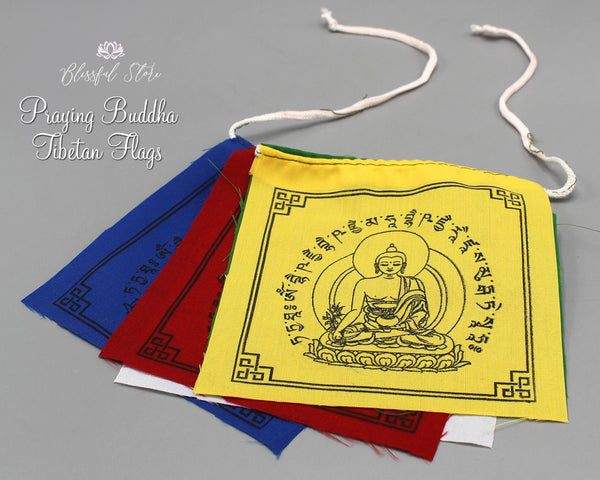 Praying Buddha Tibetan Flags