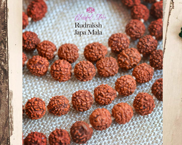 Rudraksh 108 Beads Japa Mala