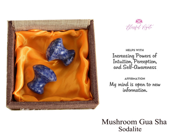 Sodalite Mushroom Gua Sha - www.blissfulagate.com