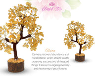 Citrine Gemstone Chipstone Tree - www.blissfulagate.com