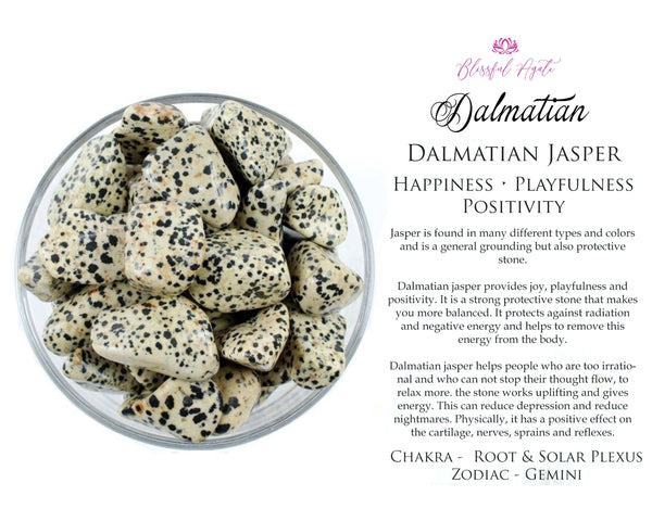 Dalmatian Tumble Stone