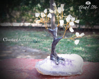 Citrine Gemstone Chipstone Tree Cluster Base. - www.blissfulagate.com