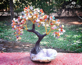 Seven Chakra Gemstone Chipstone Tree Amethyst Cluster Base. - www.blissfulagate.com