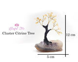 Citrine Gemstone Chipstone Tree Cluster Base. - www.blissfulagate.com