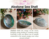 AAA Quality Natural Abalone Shell - www.blissfulagate.com