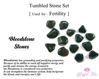 Crystal Tumble Stone Set For Fertility Pregnancy Carnelian , Rose Quartz  , Carnelian, Bloodstone - www.blissfulagate.com