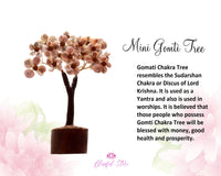 Gomti Shell Tree ( Shiva Shell Tree )