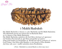 One Mukhi Rudraksh ( 1 Faced Rudraksha ) - www.blissfulagate.com