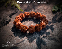 Genuine Shiva Rudraksh Healing  Bracelet 6mm/8mm/10mm Beads