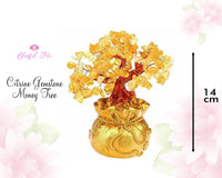 Citrine Gemstone Tree - www.blissfulagate.com