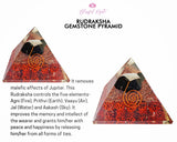 Rudraksha EMF Pyramids.