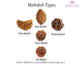 Six Mukhi Rudraksh ( 6 Faced Rudraksha ) - www.blissfulagate.com