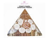 Gomti Chakra Shell Orgone EMF Pyramids.