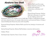 AAA Quality Natural Abalone Shell - www.blissfulagate.com