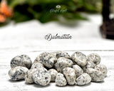 Dalmatian Tumble Stone