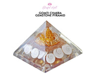 Gomti Chakra Shell Orgonite EMF Pyramids.