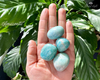 Amazonite Tumble Stone