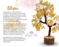 Citrine Gemstone Chipstone Tree - www.blissfulagate.com