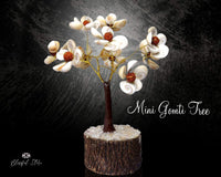 Gomti Shell Tree ( Shiva Shell Tree )