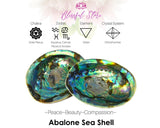 AAA Quality Natural Abalone Shell - www.blissfulagate.com