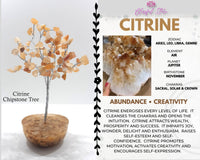 Aventurine Gemstone Bonsai Tree - www.blissfulagate.com