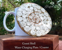 Gomti Shell Orgonite Energy Crystal Water Charging Plate / Coaster - www.blissfulagate.com