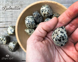 Dalmatian Tumble Stone