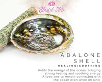 AAA Quality Natural Abalone Shell - www.blissfulagate.com