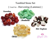 Crystal Tumble Stone Set For harvesting Lammas Carnelian ,Citrine, Carnelian, Shiv Lingam - www.blissfulagate.com