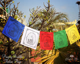 Praying Buddha Tibetan Flags