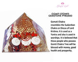 Gomti Chakra Shell Orgonite EMF Pyramid.