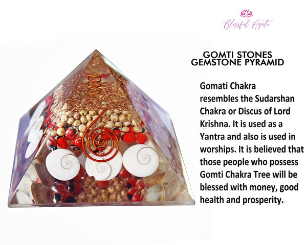 Gomti Chakra Shell Orgonite EMF Pyramid.