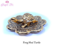 Feng Shui Glass Plate Turtle Vastu Tortoise Gold Color - www.blissfulagate.com