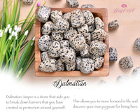 Dalmatian Tumble Stone