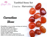 Crystal Tumble Stone Set For harvesting Lammas Carnelian ,Citrine, Carnelian, Shiv Lingam - www.blissfulagate.com