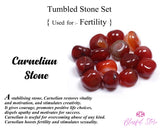 Crystal Tumble Stone Set For Fertility Pregnancy Carnelian , Rose Quartz  , Carnelian, Bloodstone - www.blissfulagate.com