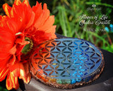 7 Chakra Flower of Life Orgone Water Charging Plate / Coaster