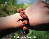 Genuine Shiva Rudraksh Healing  Bracelet 6mm/8mm/10mm Beads