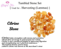 Crystal Tumble Stone Set For harvesting Lammas Carnelian ,Citrine, Carnelian, Shiv Lingam - www.blissfulagate.com