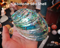 AAA Quality Natural Abalone Shell - www.blissfulagate.com