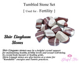 Crystal Tumble Stone Set For Fertility Pregnancy Carnelian , Rose Quartz  , Carnelian, Bloodstone - www.blissfulagate.com