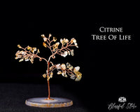 Citrine Agate Coaster Base Gemstone Bonsai Tree - www.blissfulagate.com