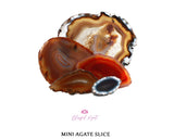 Natural Mini Agates Slices