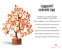 Carnelian Gemstone Chipstone Tree