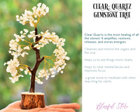 Clear Quartz Gemstone Chipstone Tree